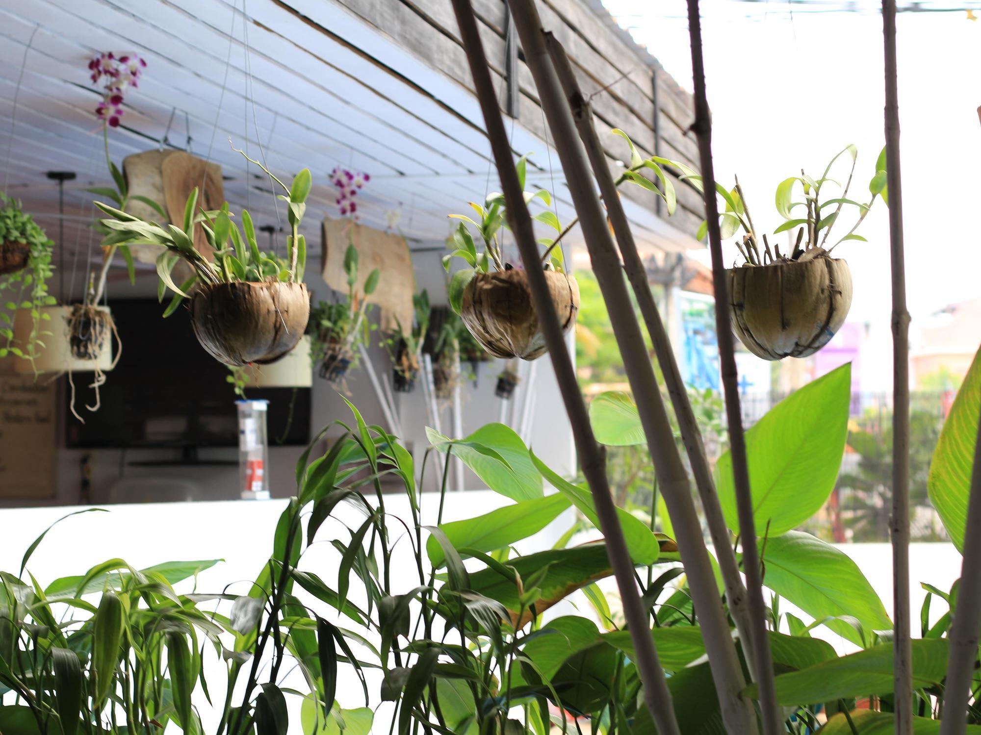 Sok San Street Boutique Hotel Siem Reap Exterior foto